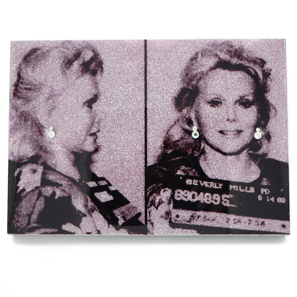 Zsa Zsa Gabor mug shot wall art plaque