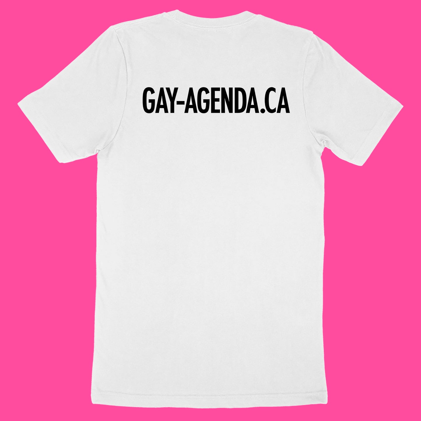 Gay Agenda tee