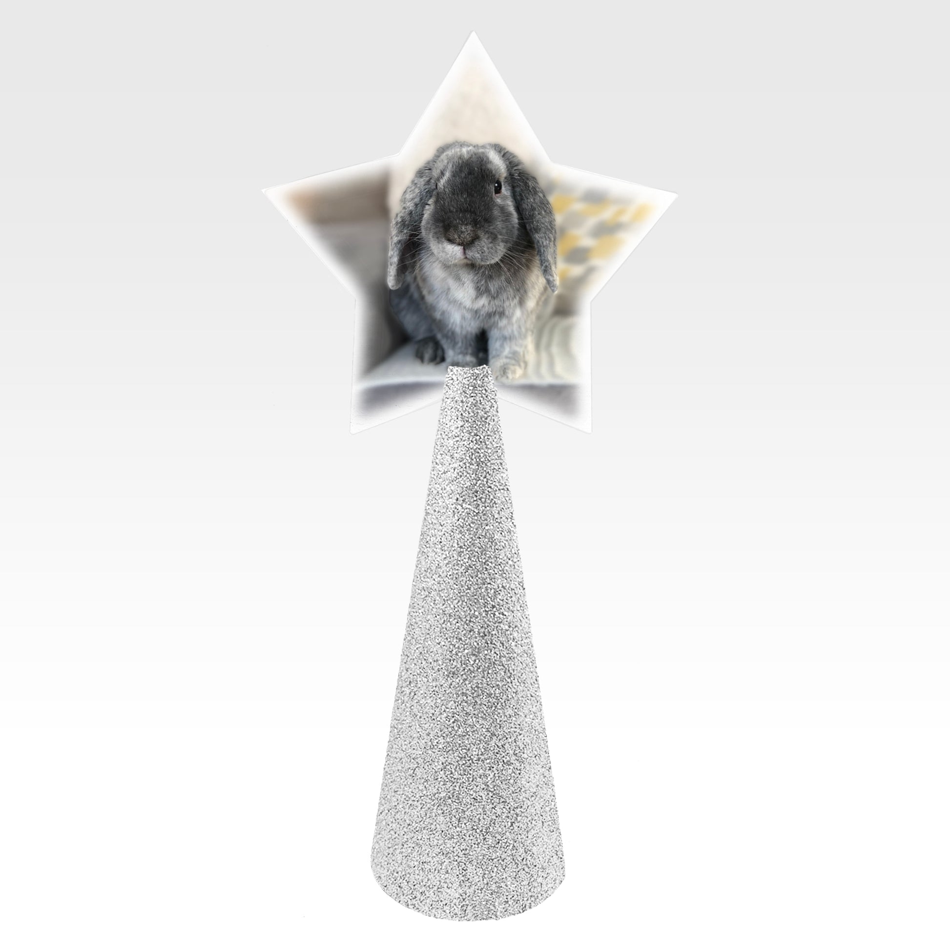 Custom tree topper - White Star with sample rabbit photo - silver glitter cone