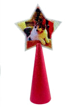 Load and play video in Gallery viewer, Video of double-sided custom tree topper with 2 cat images on red glitter cone
