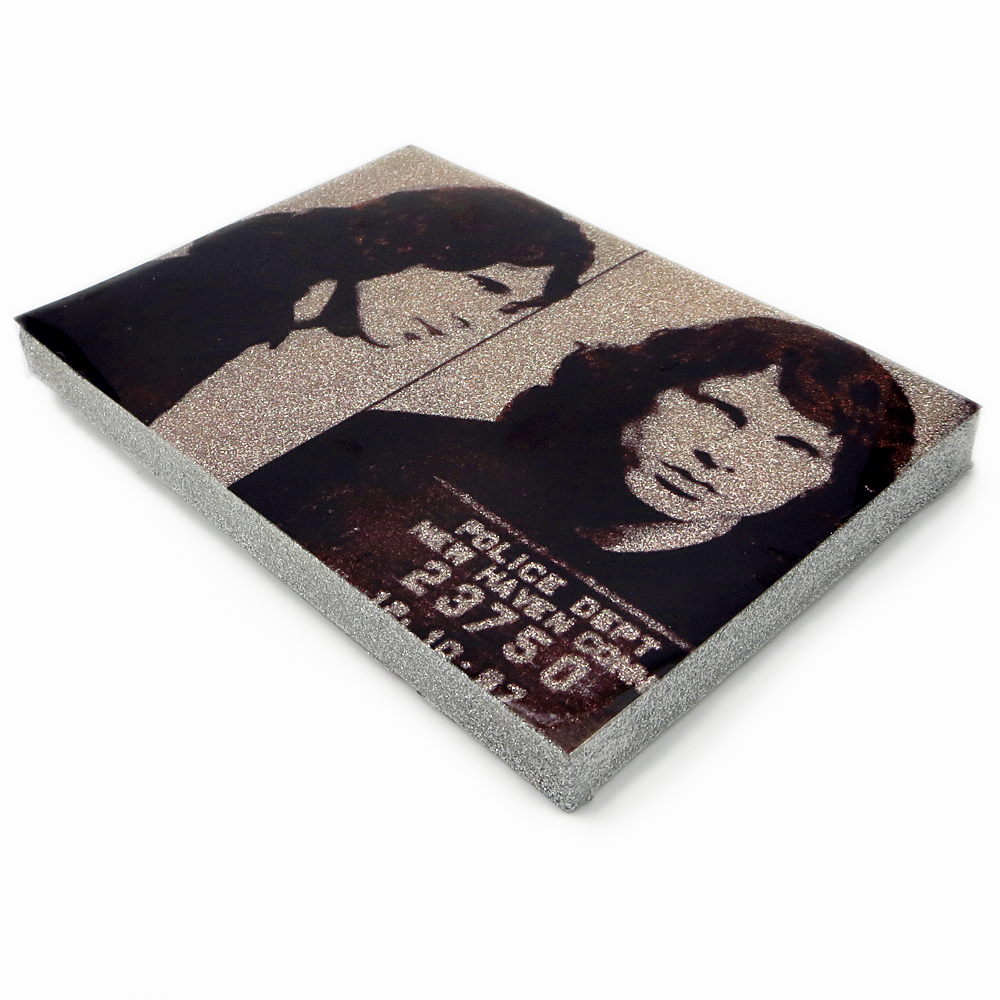 Jim Morrison mug shot wall art plaque