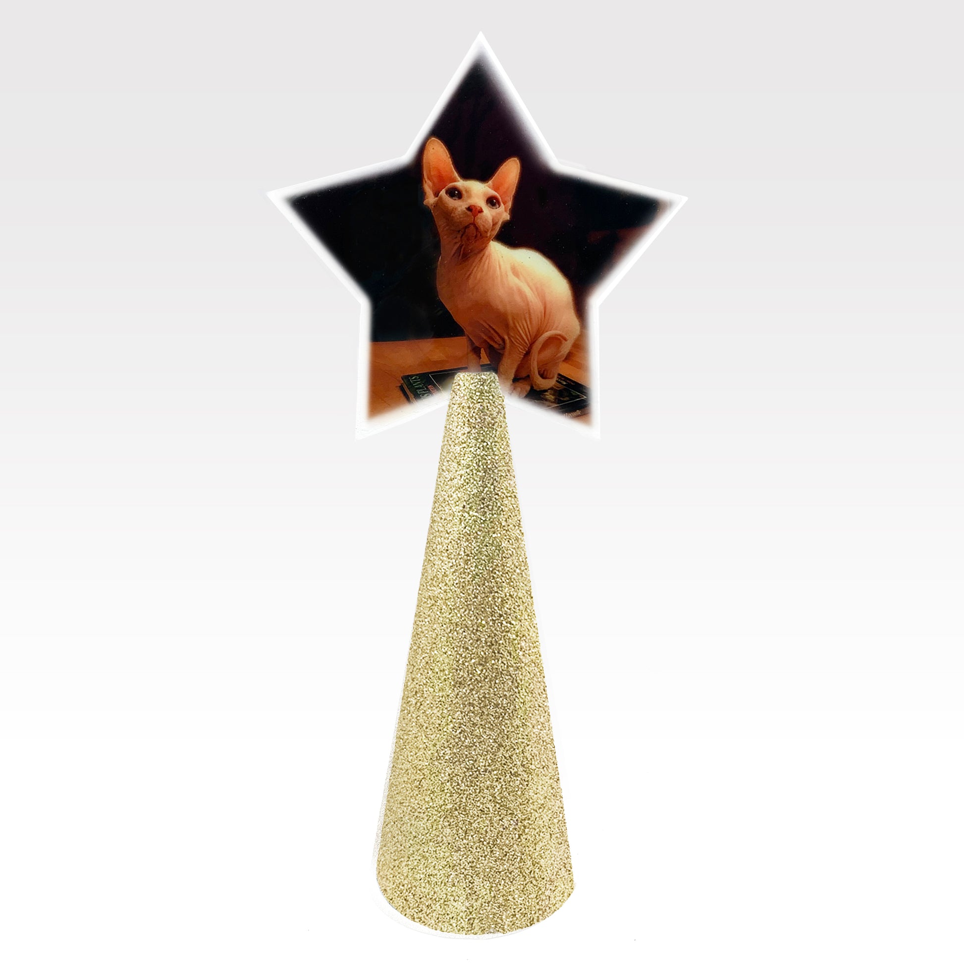 Custom tree topper - White Star with sample sphynx cat photo - champagne gold glitter cone