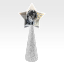 Load image into Gallery viewer, Custom tree topper - White Star with sample rabbit photo - silver glitter cone
