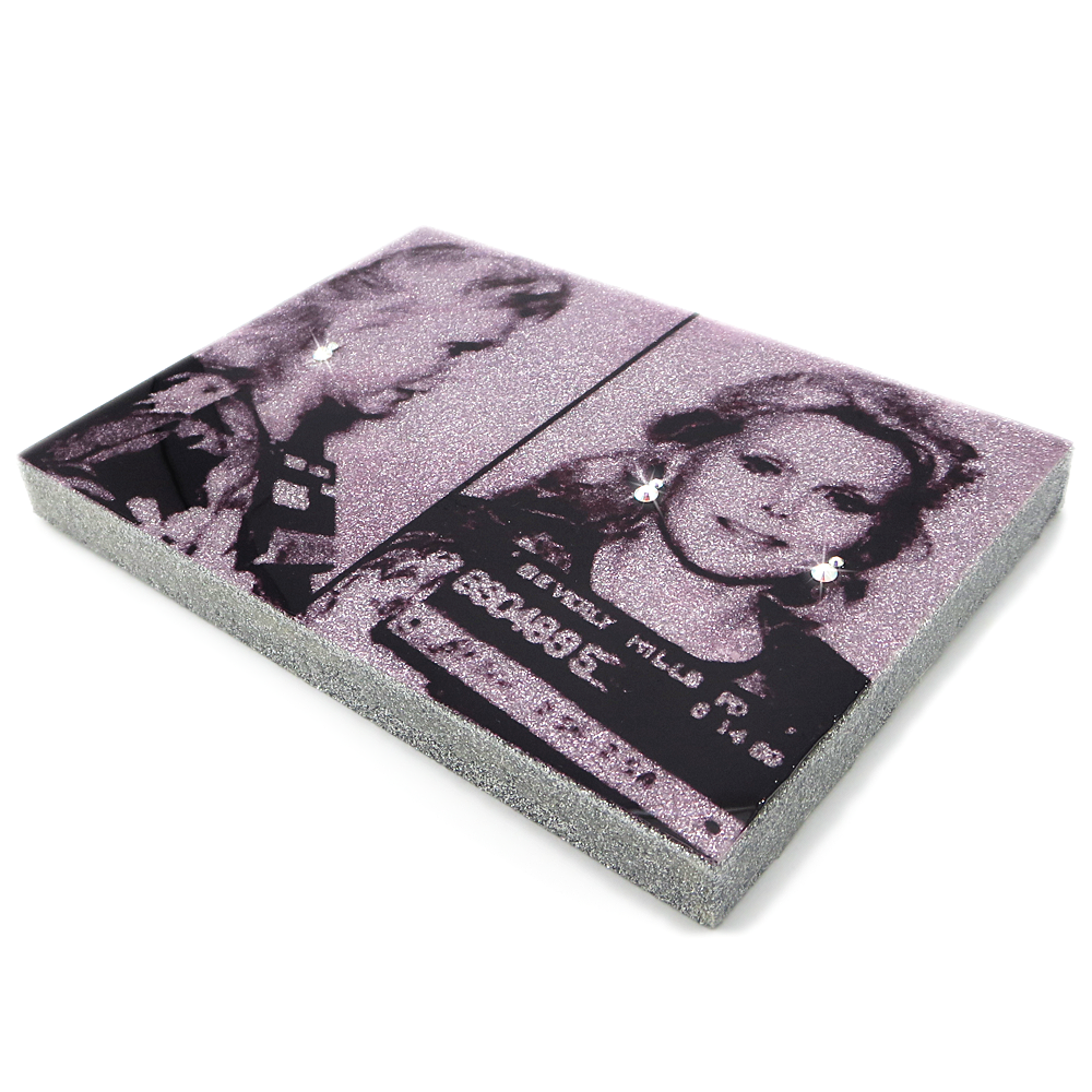 Zsa Zsa Gabor mug shot wall art plaque